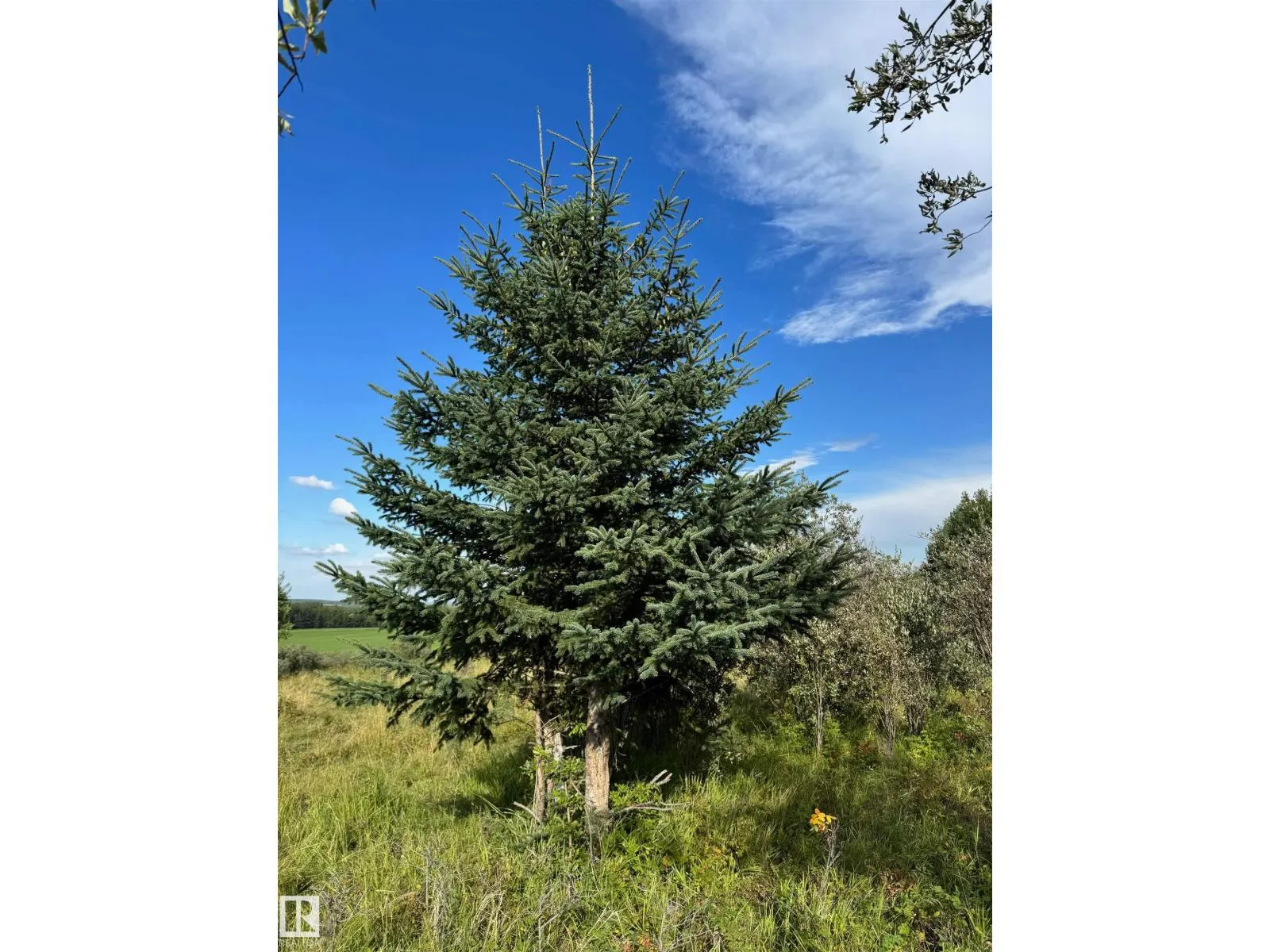 on Twp Rd 505