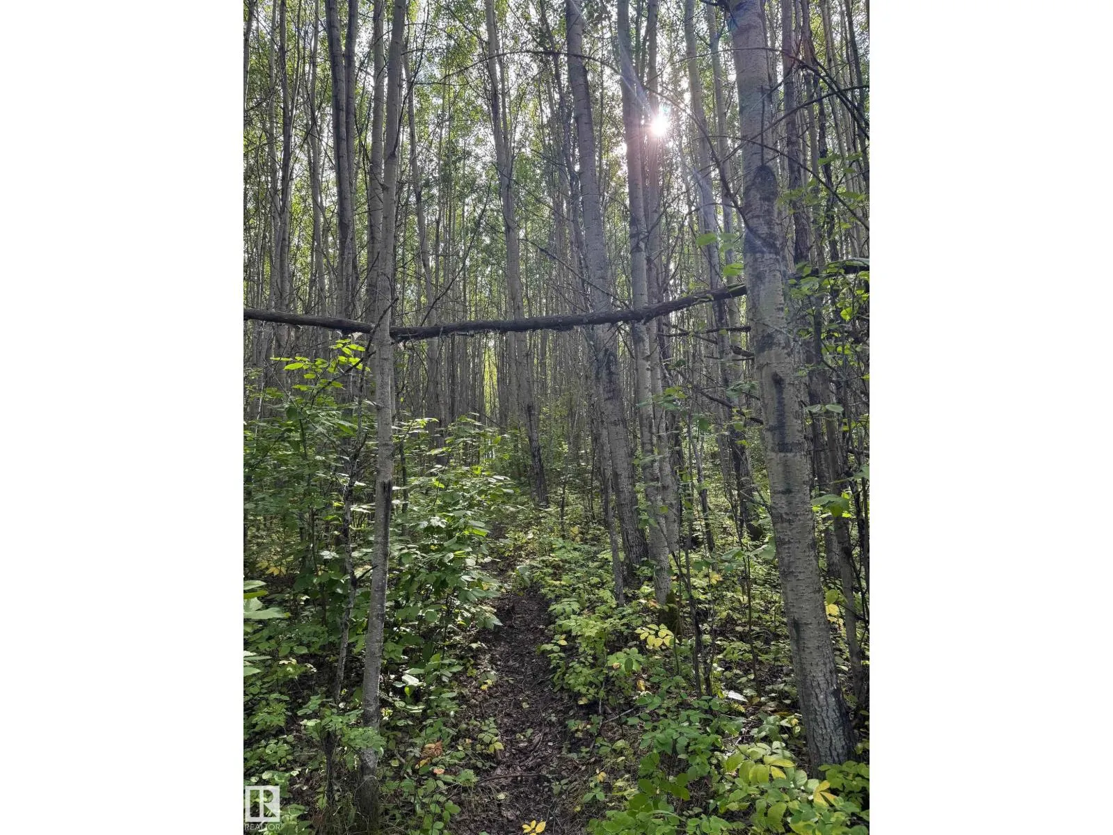 on Twp Rd 505