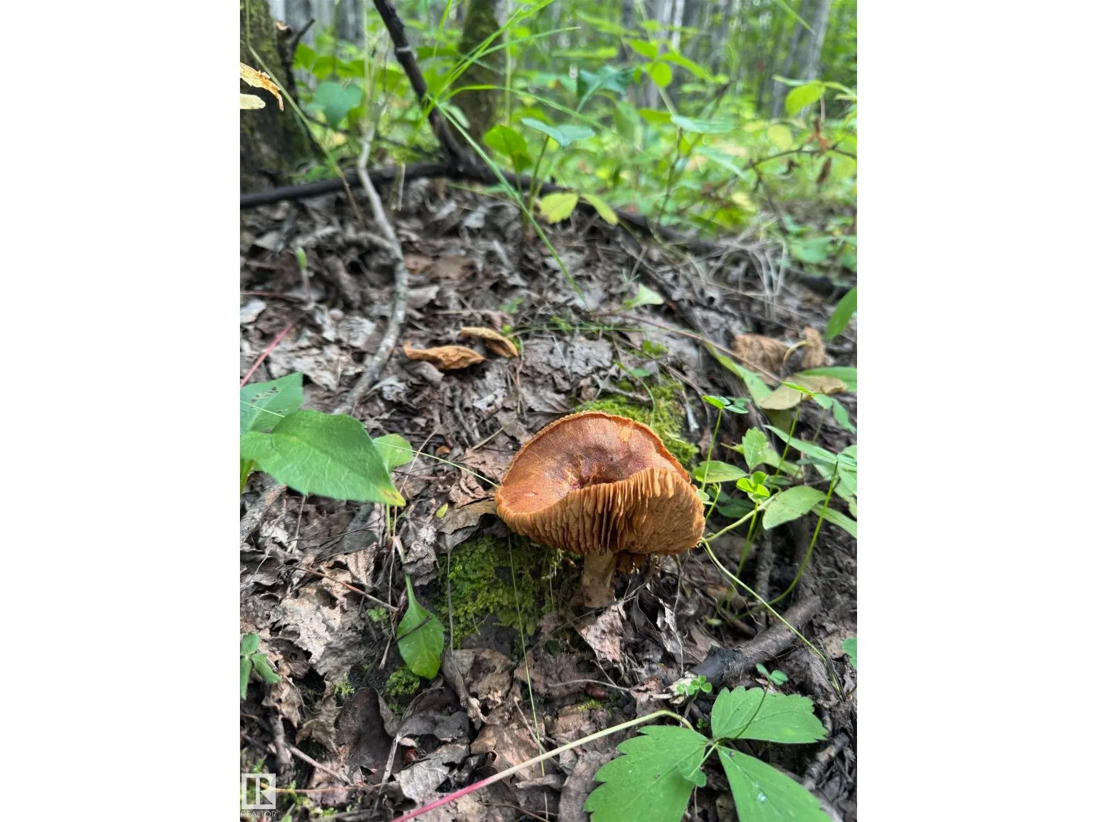 on Twp Rd 505