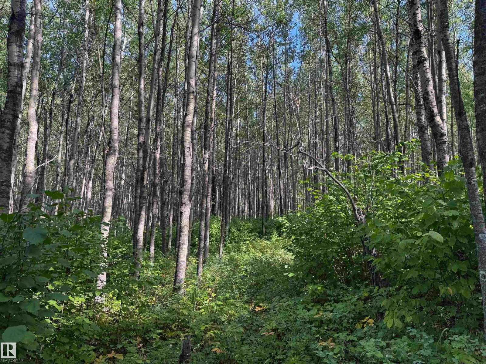 on Twp Rd 505