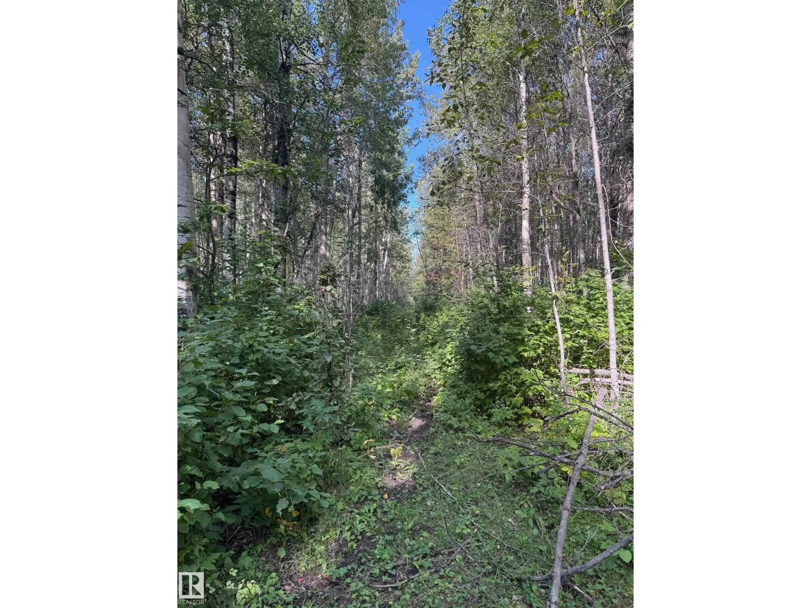 on Twp Rd 505