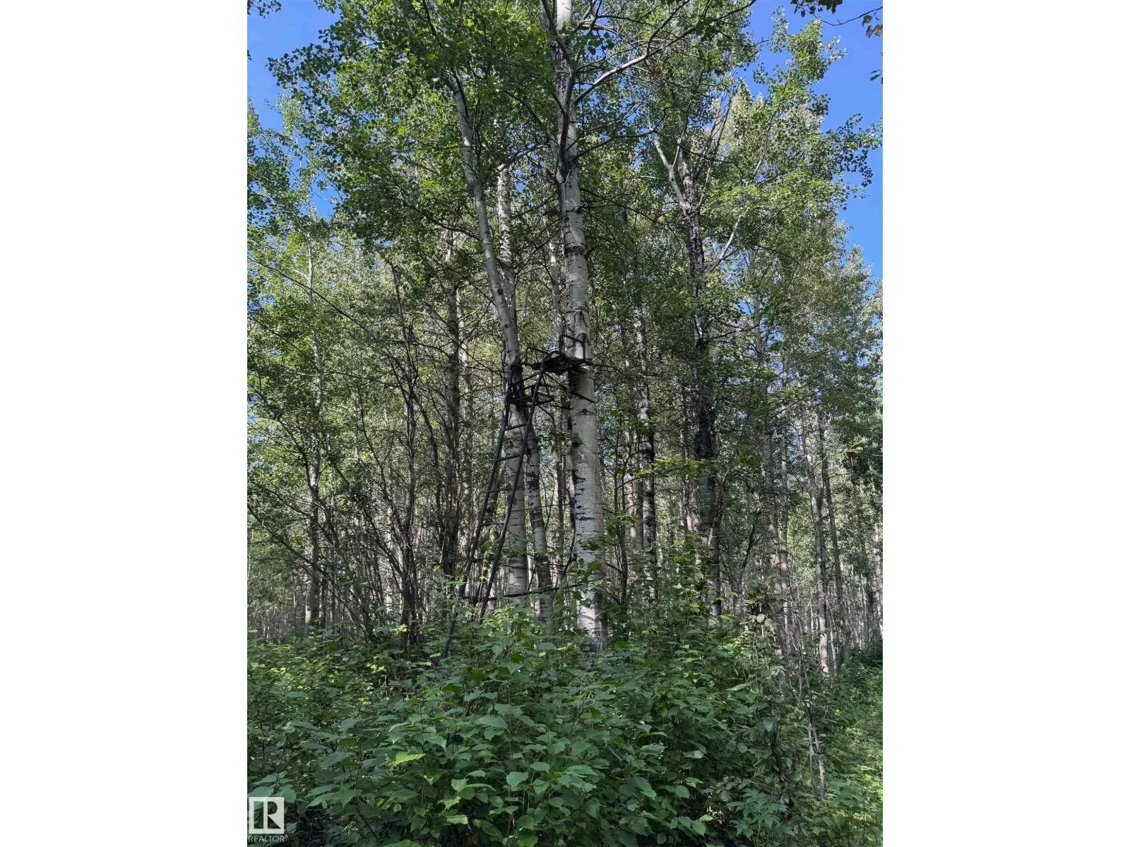 on Twp Rd 505
