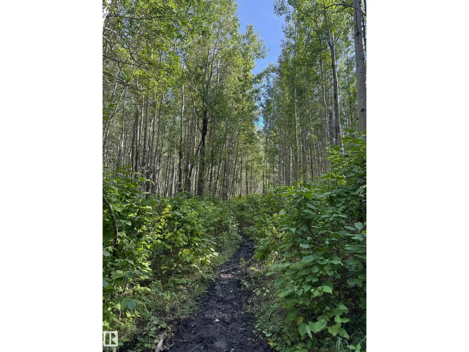 on Twp Rd 505