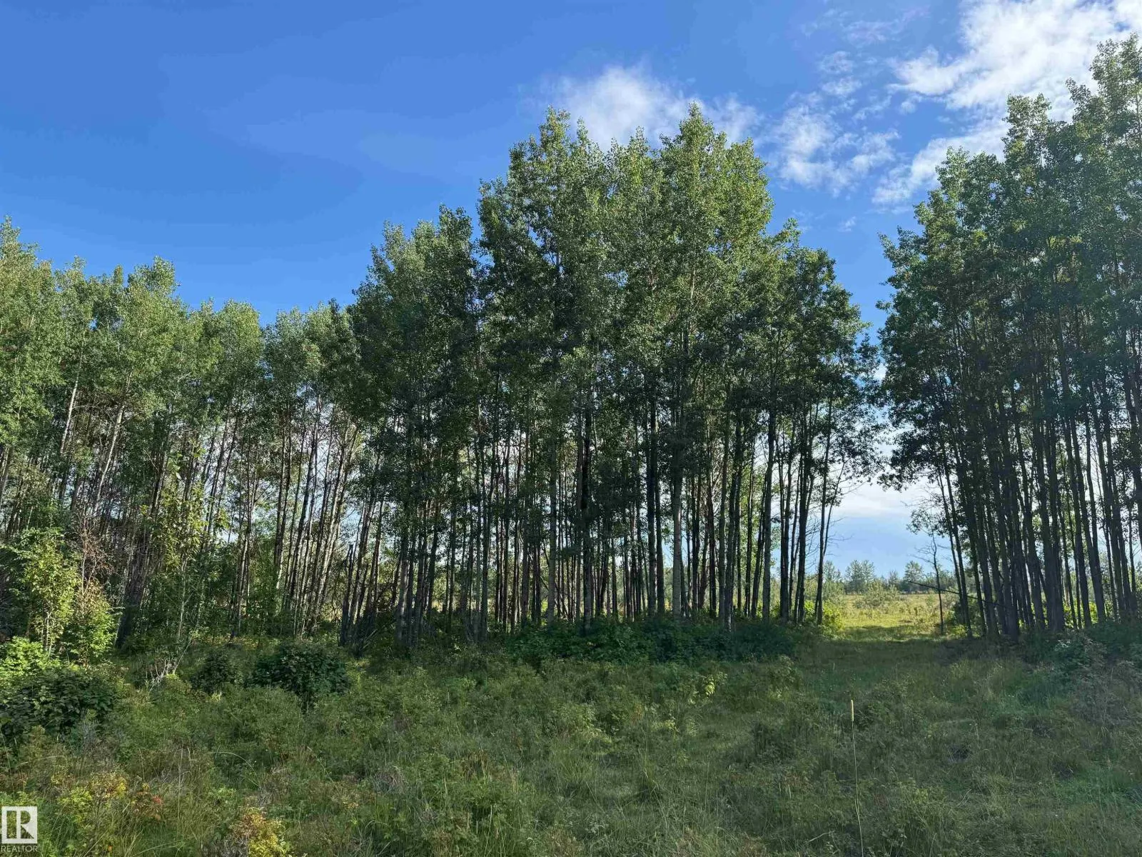 on Twp Rd 505
