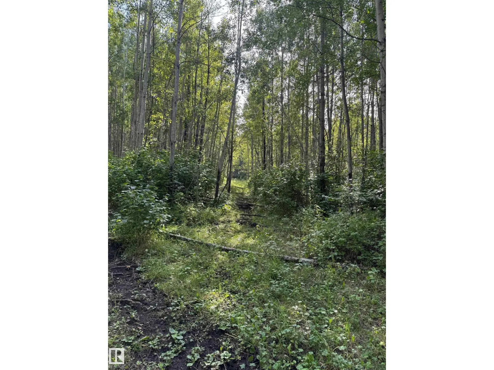 on Twp Rd 505