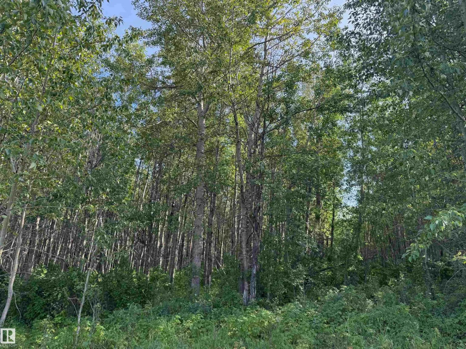on Twp Rd 505
