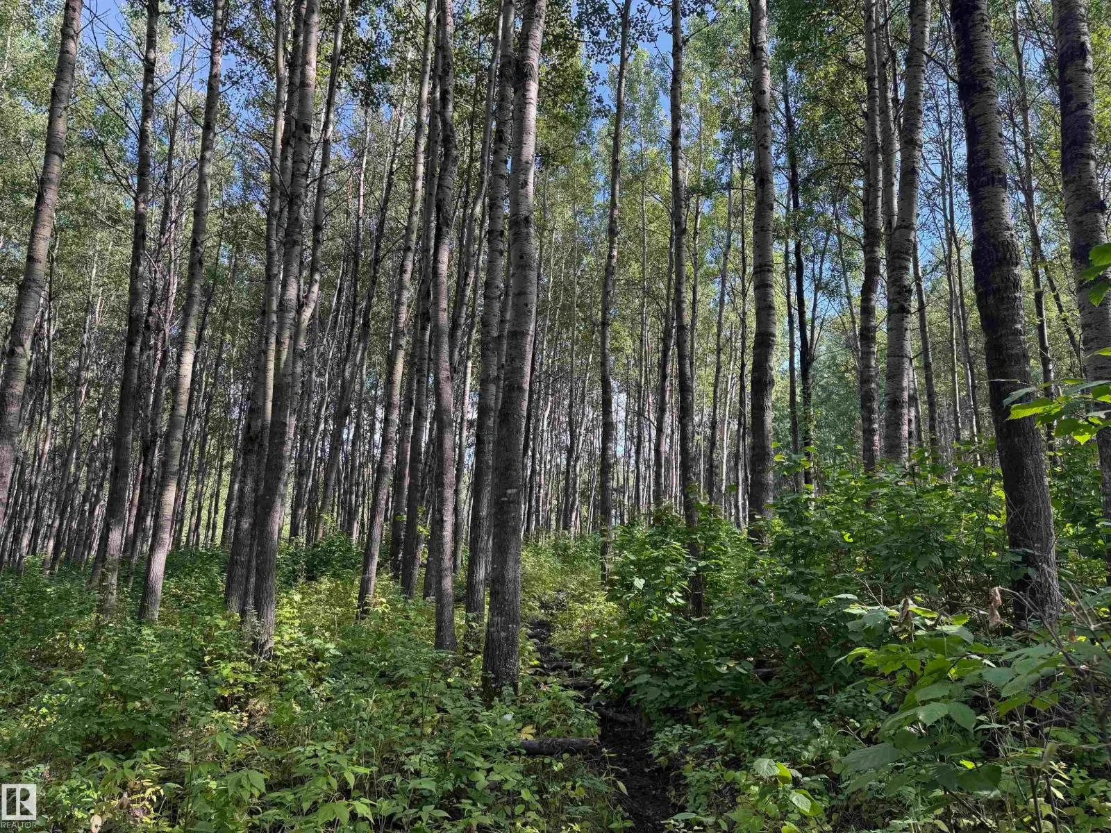 on Twp Rd 505
