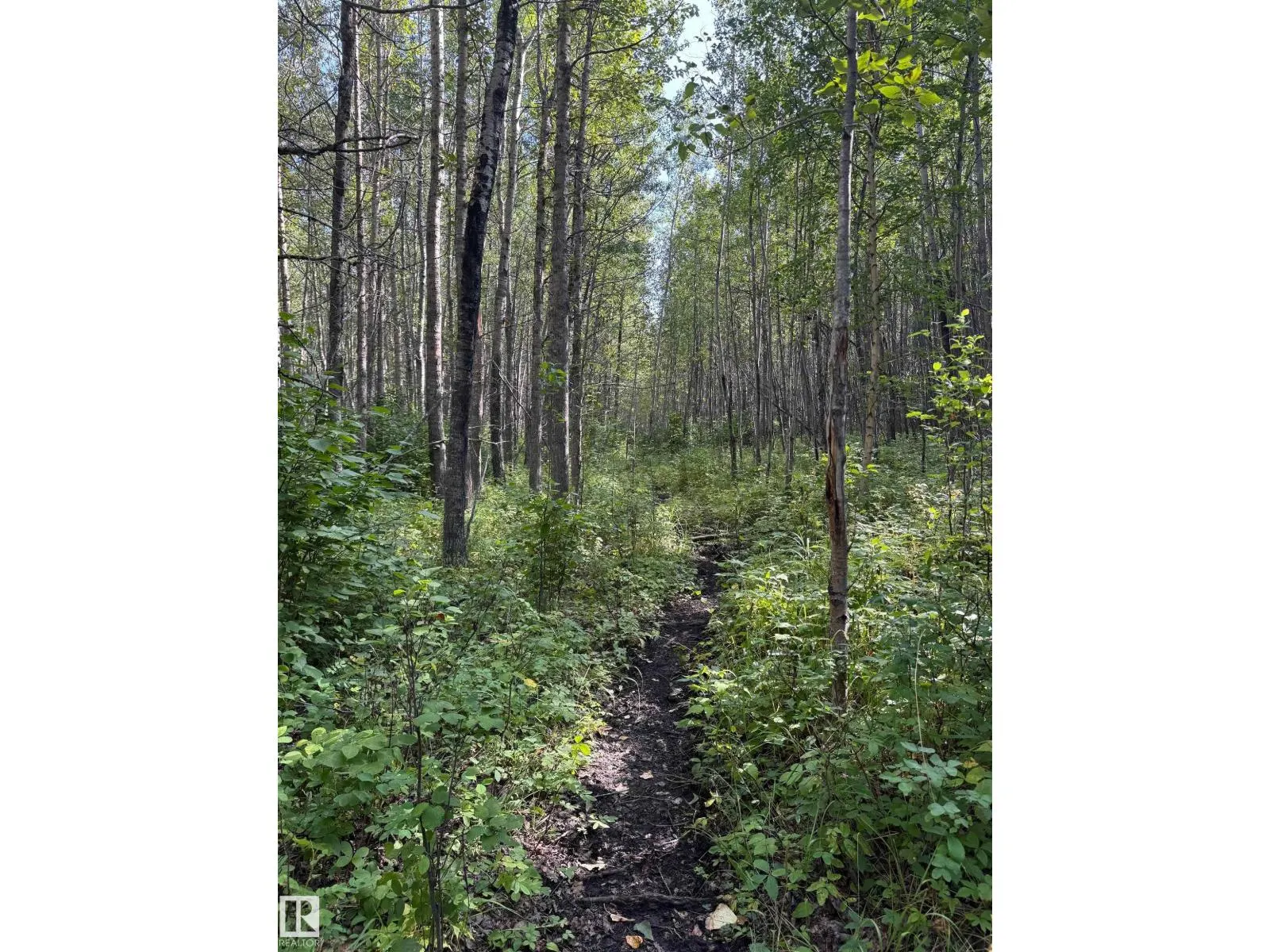 on Twp Rd 505