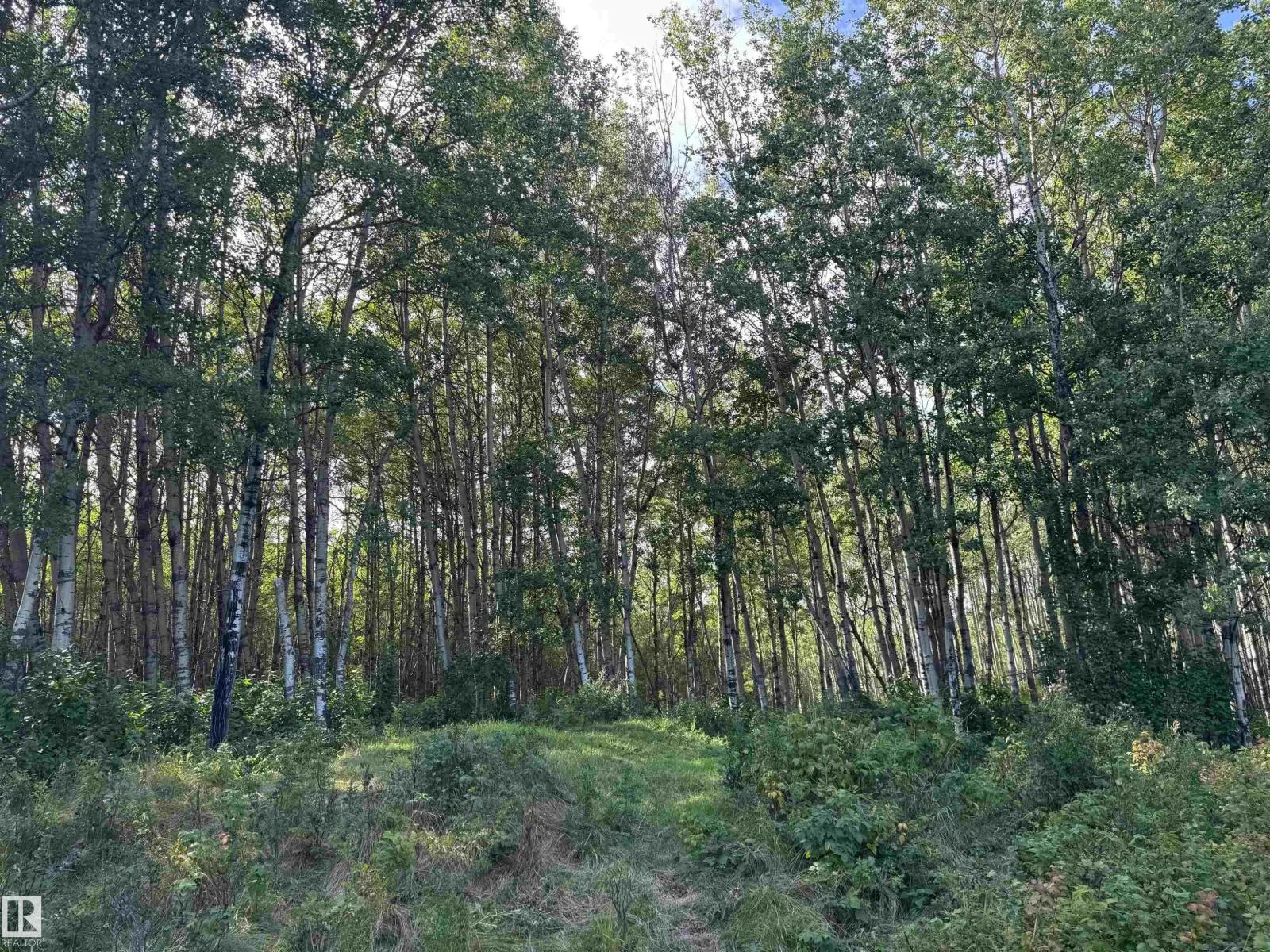 on Twp Rd 505