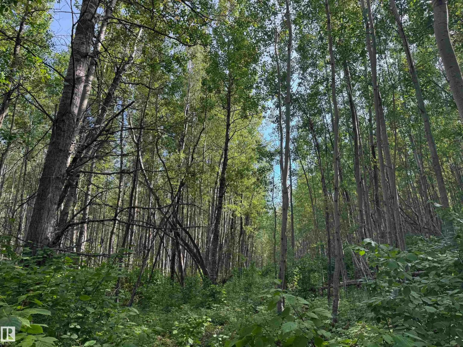 on Twp Rd 505