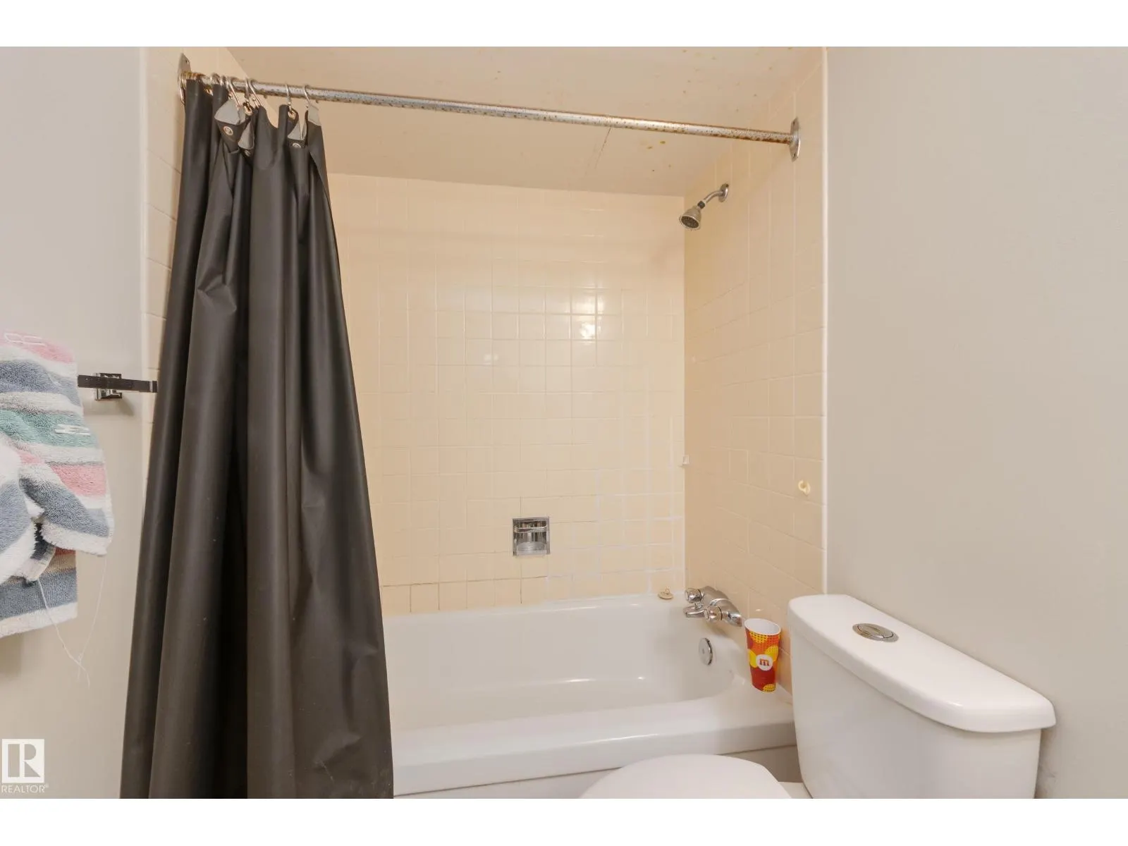 #502 10175 109 ST NW