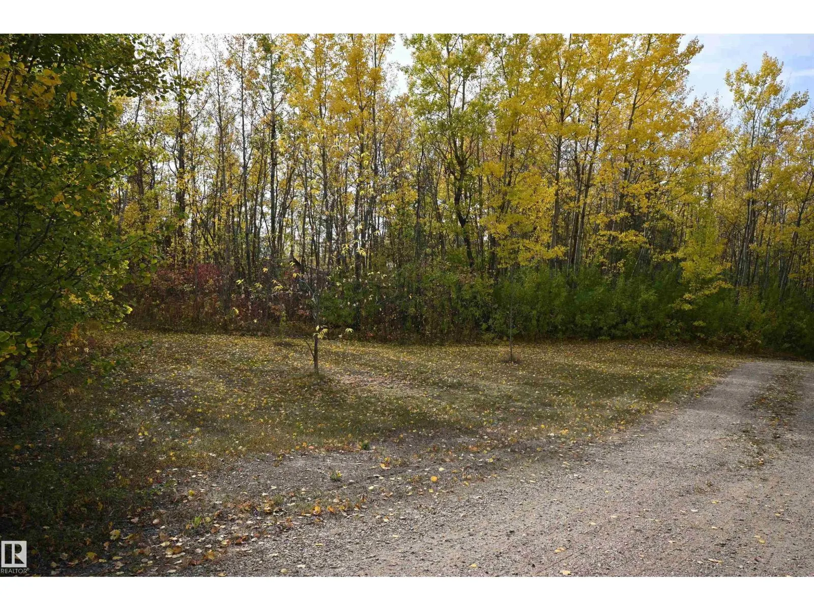 218 58532 Range Road 113