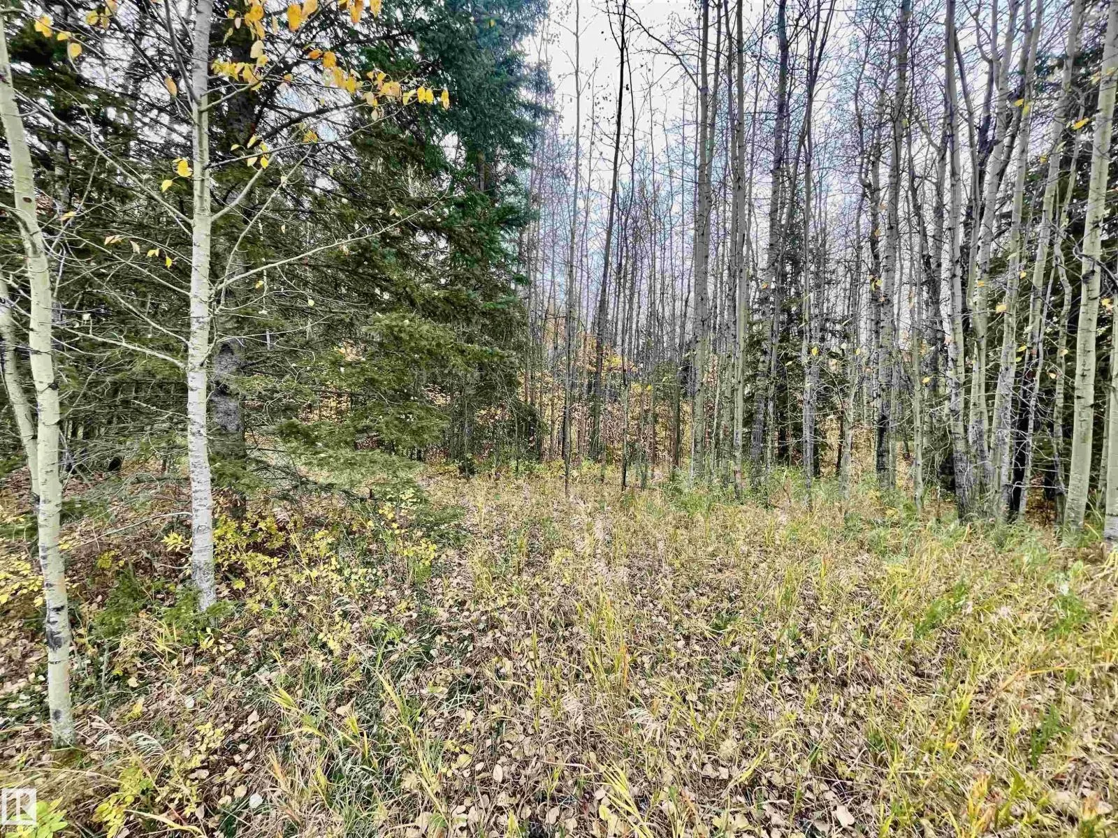 3 Pleasant Valley AC