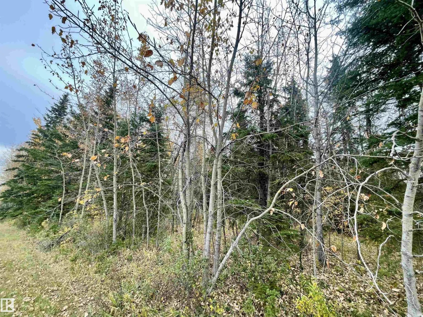 3 Pleasant Valley AC