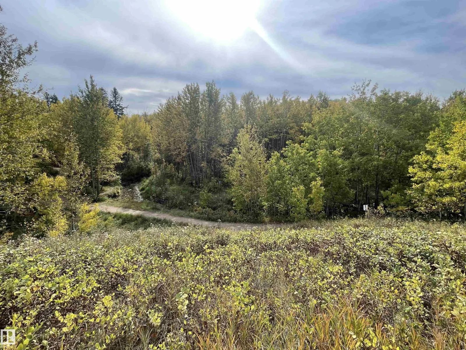 4631 43 AV NW