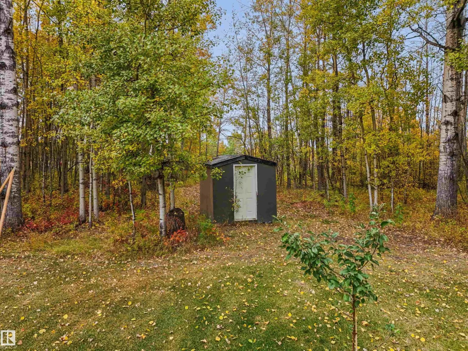 8102 TWP ROAD 494