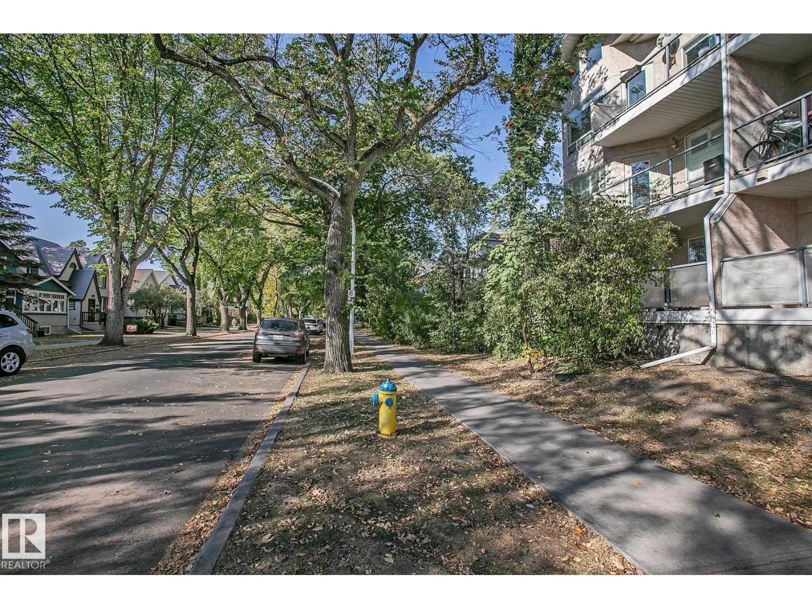 #204 8108 109 ST NW