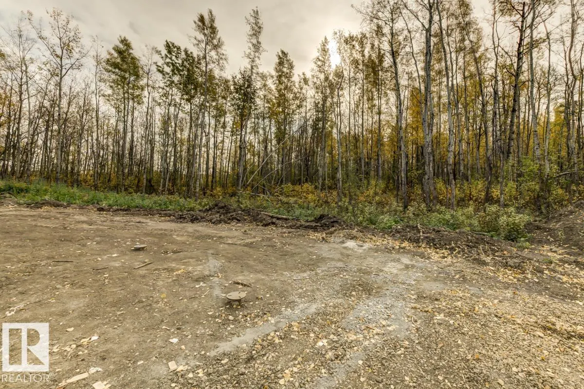 20319 TWP RD 504