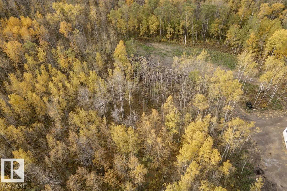 20319 TWP RD 504