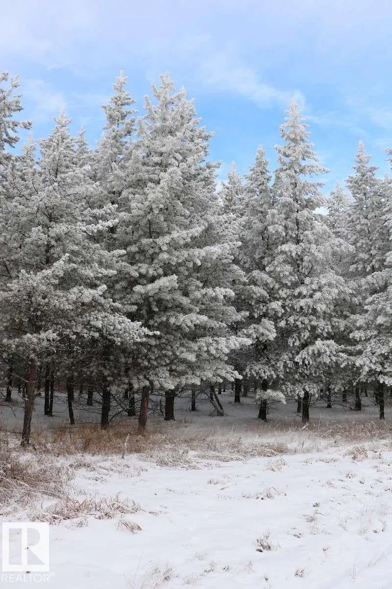 20512 TWP RD 502