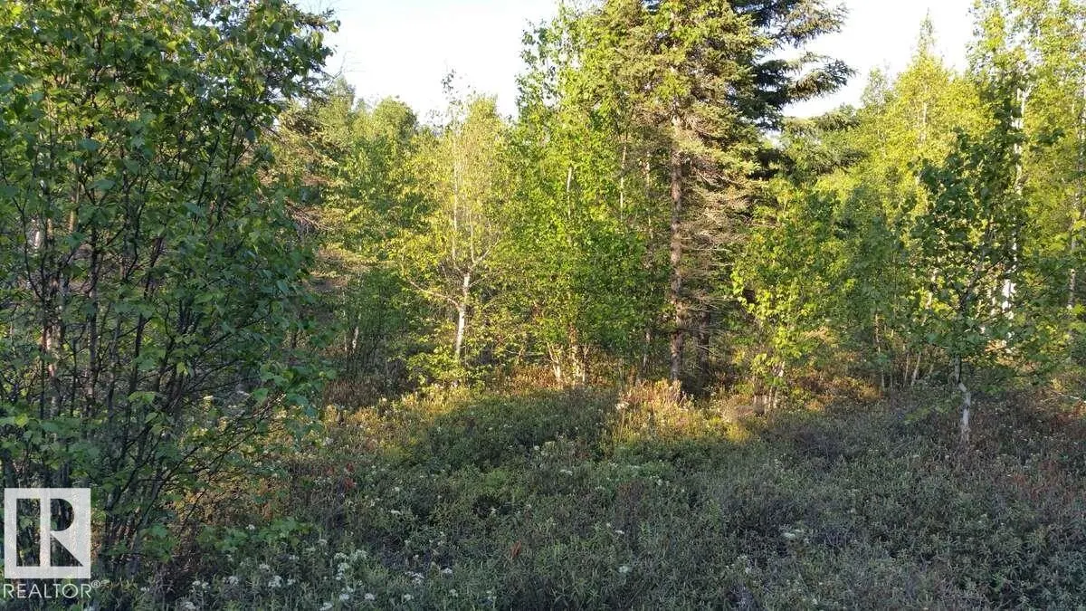 20512 TWP RD 502