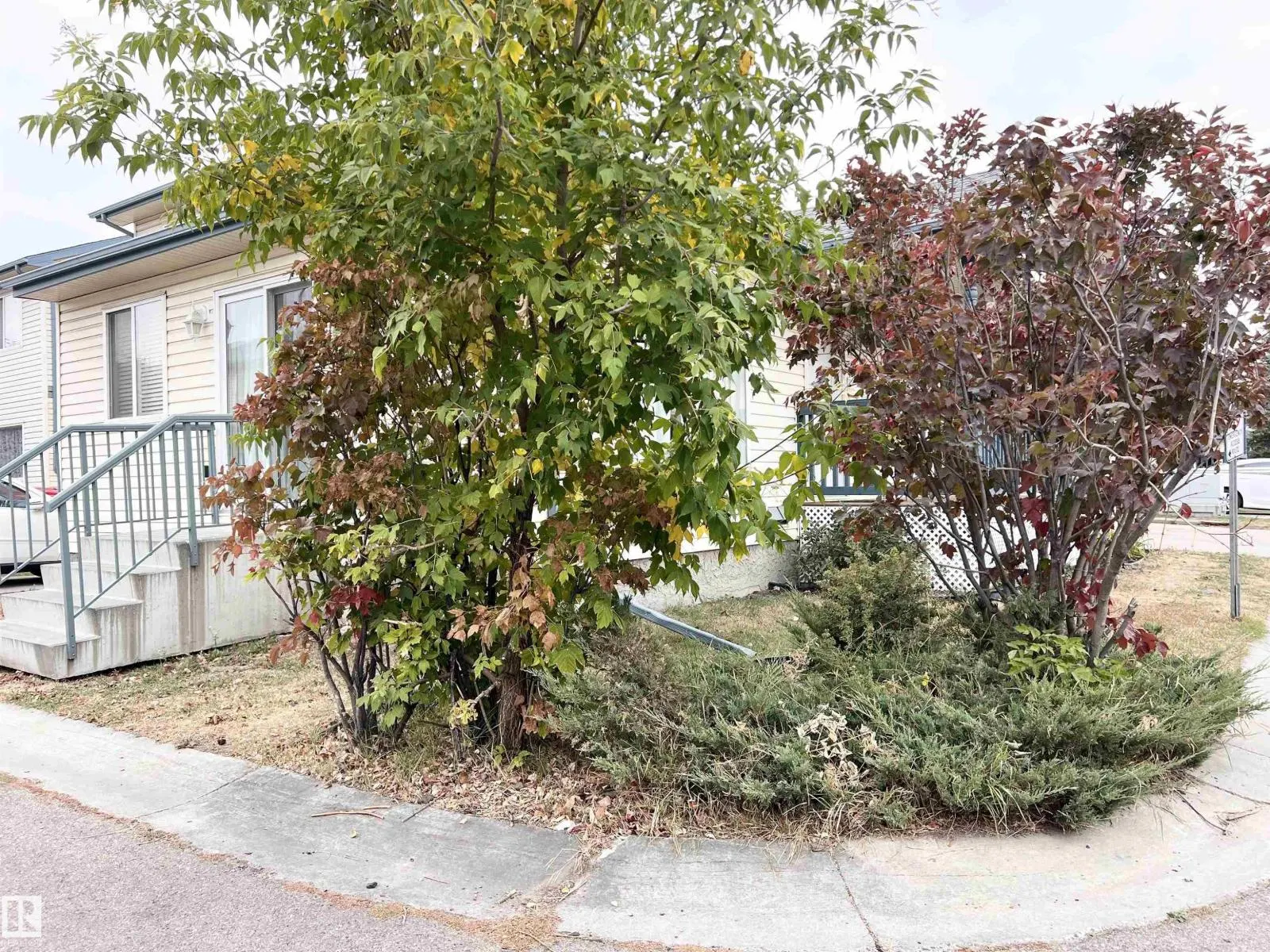 #19 10909 106 ST NW NW