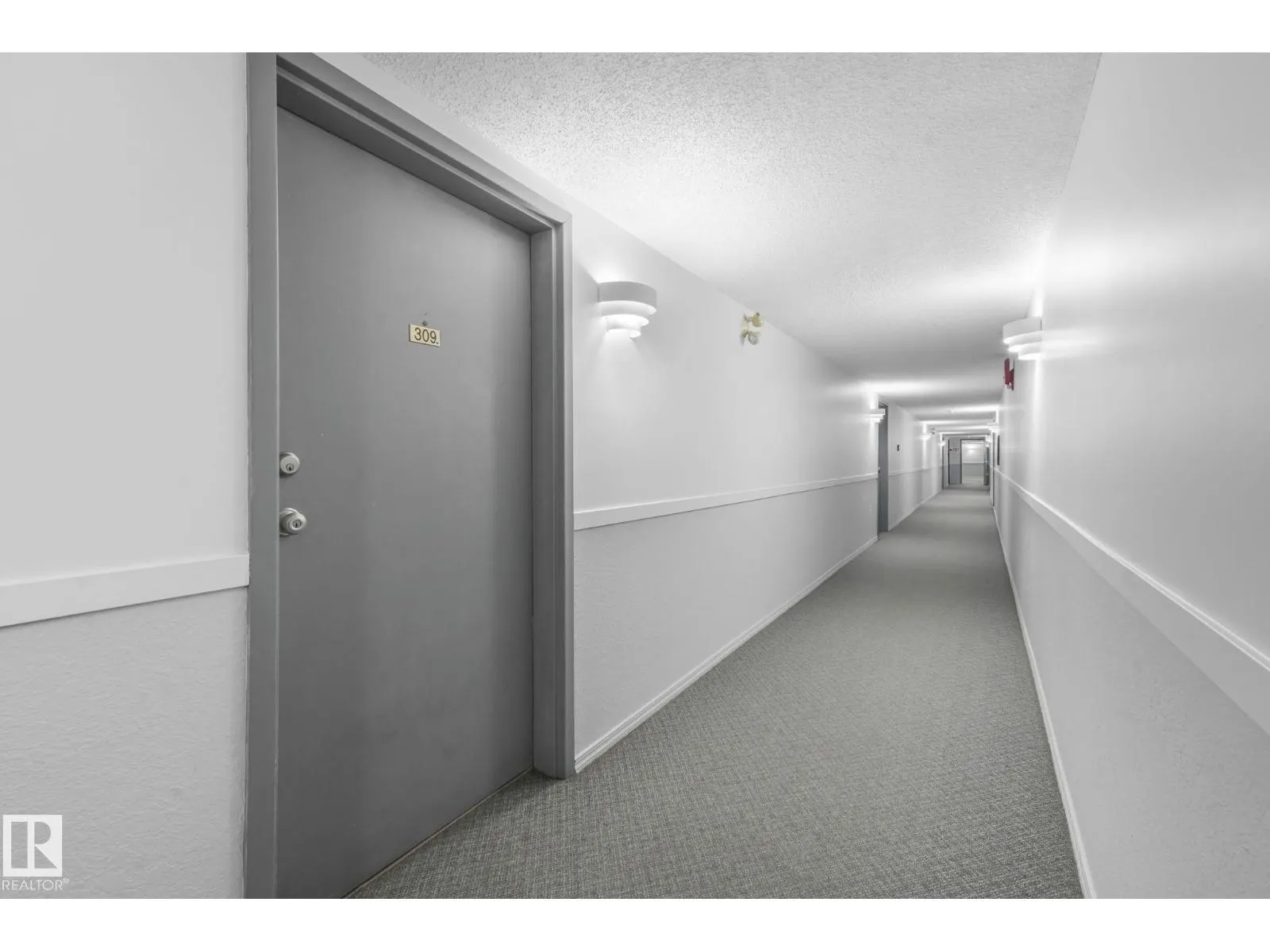 #309 10636 120 ST NW