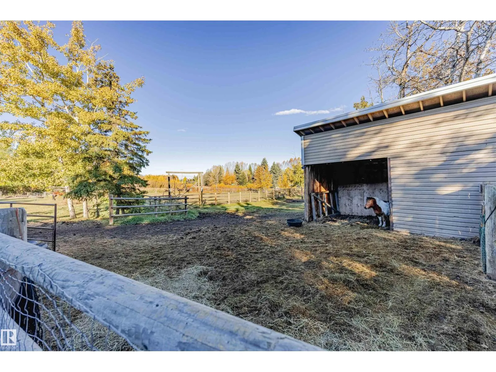 194 52328 HWY 21