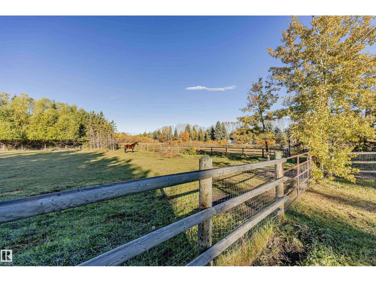 194 52328 HWY 21