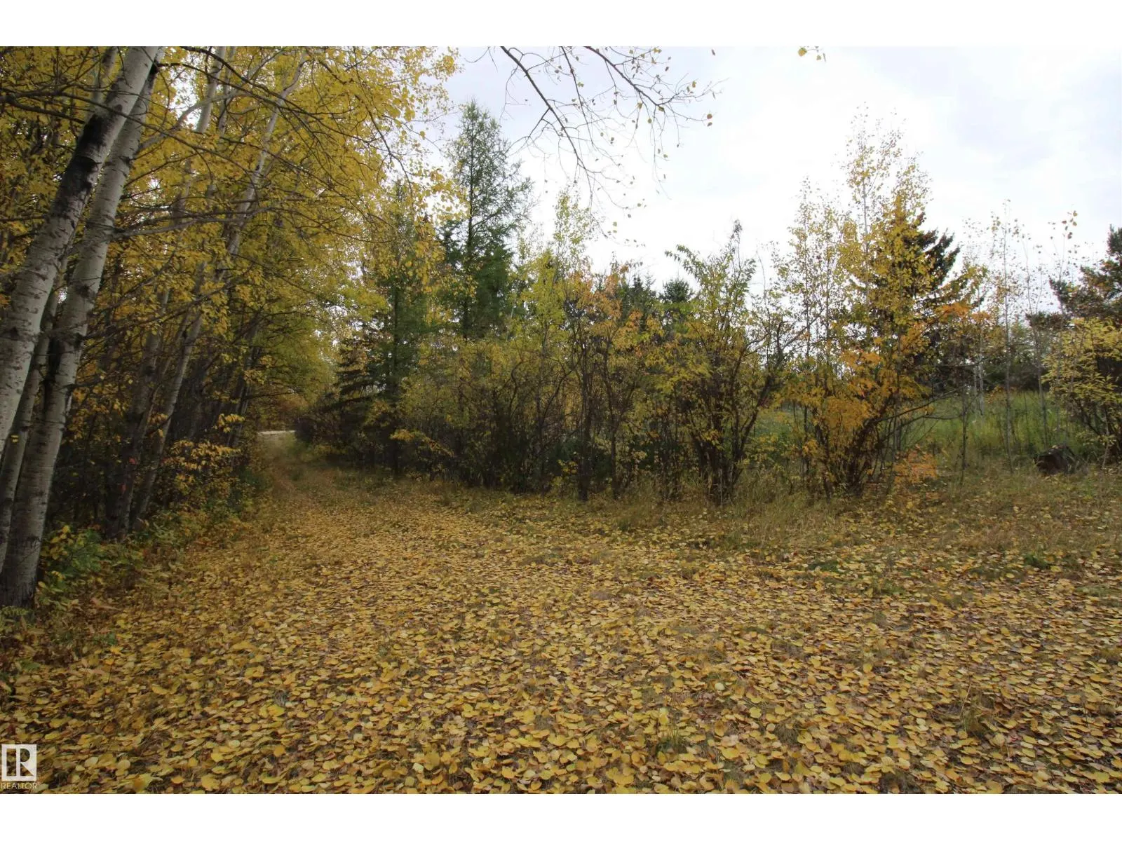 58201 Rge Rd 23