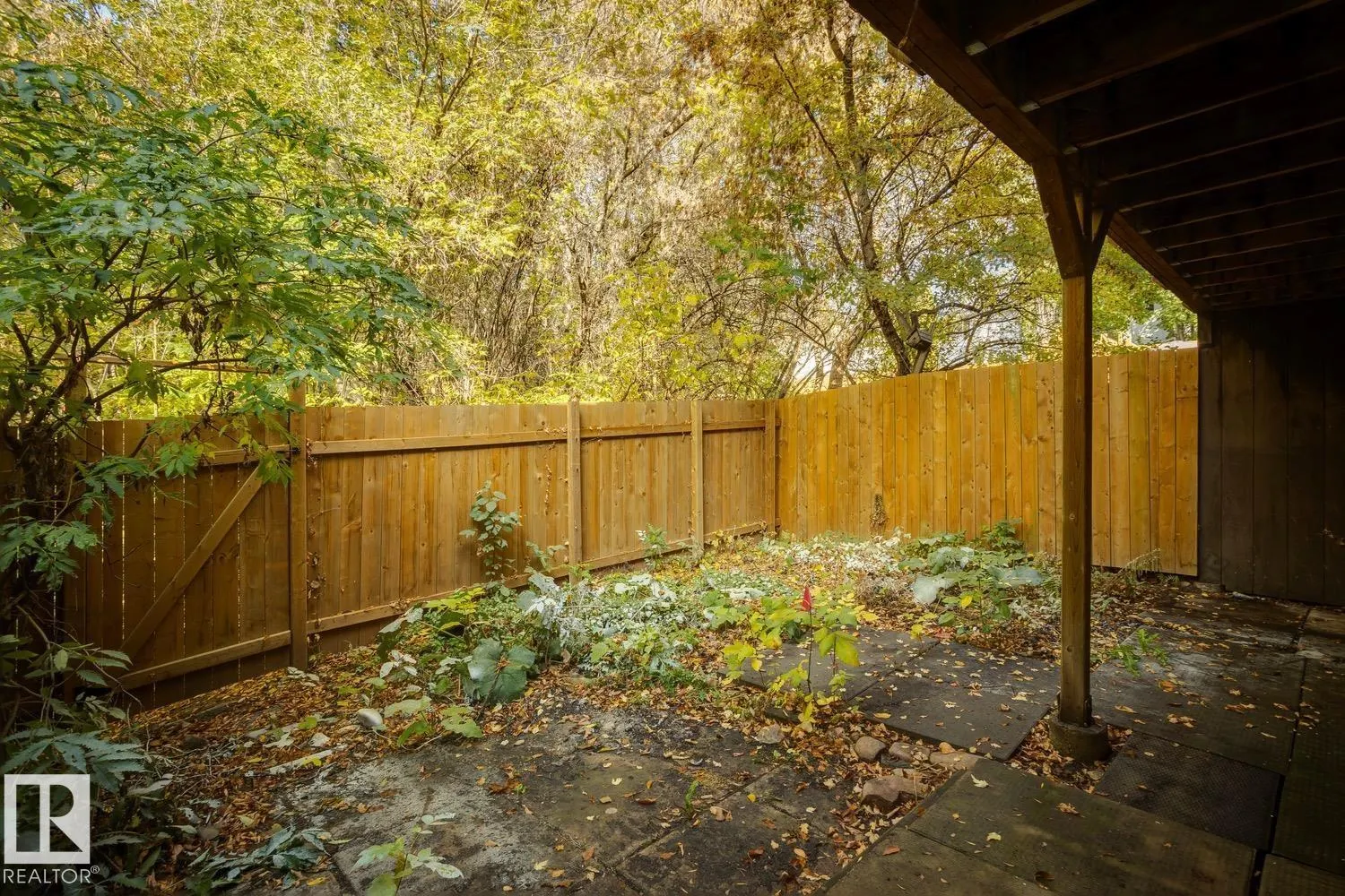 73 RIDGEWOOD TC