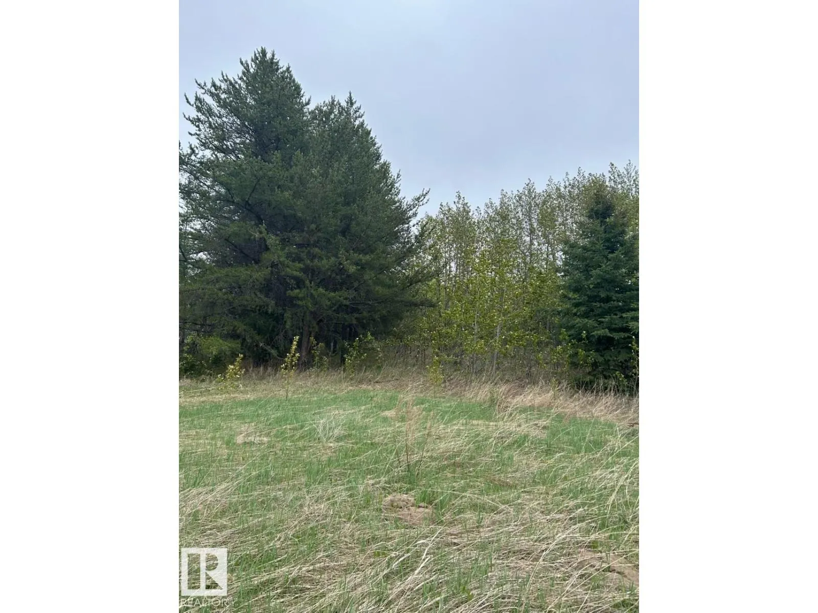 3 26414 TWP ROAD 515 A