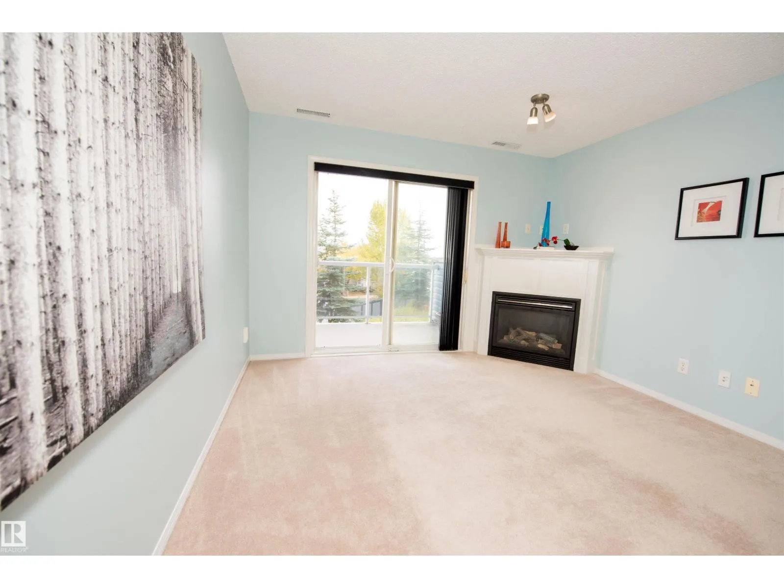 #209 16035 132 ST NW