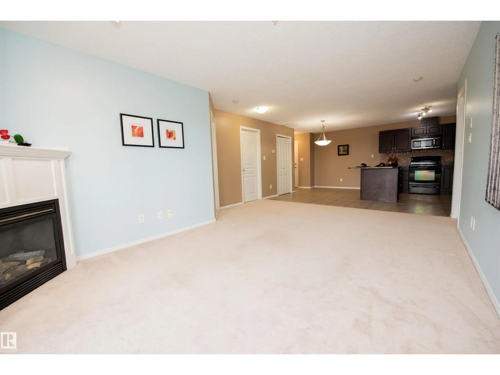 #209 16035 132 ST NW