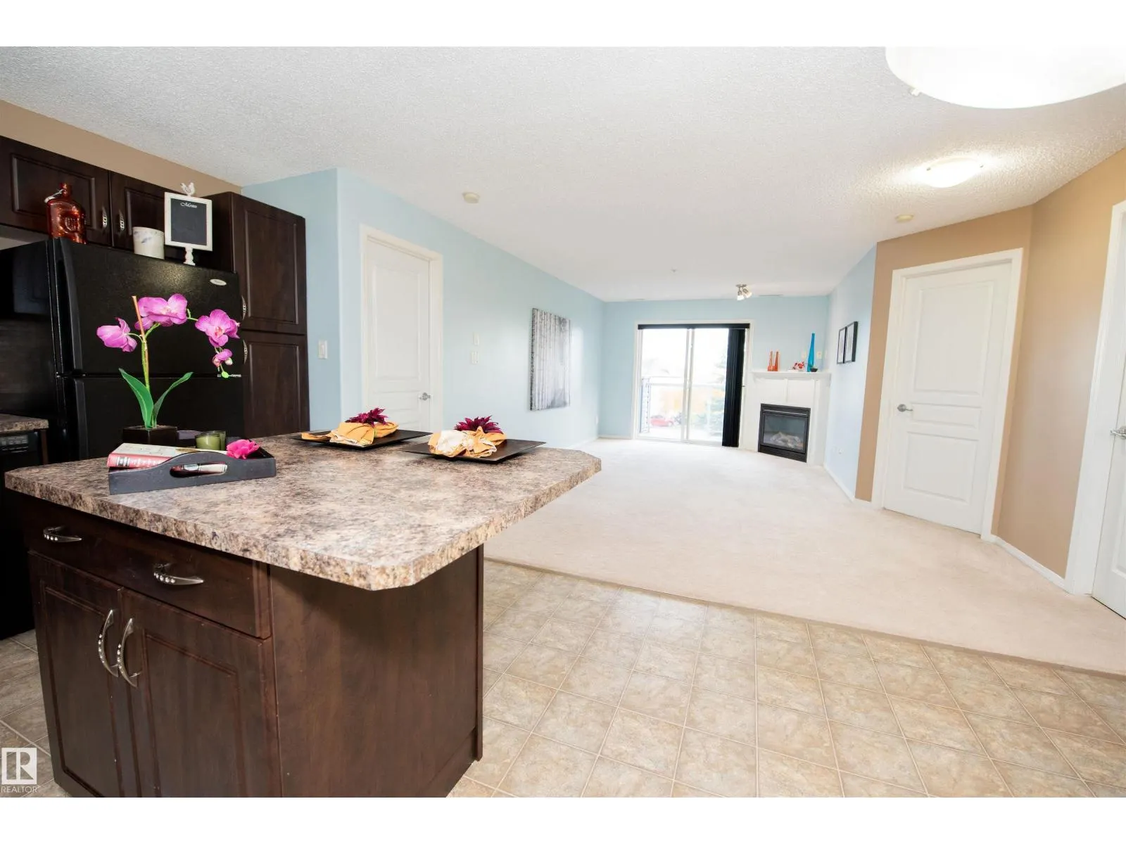 #209 16035 132 ST NW