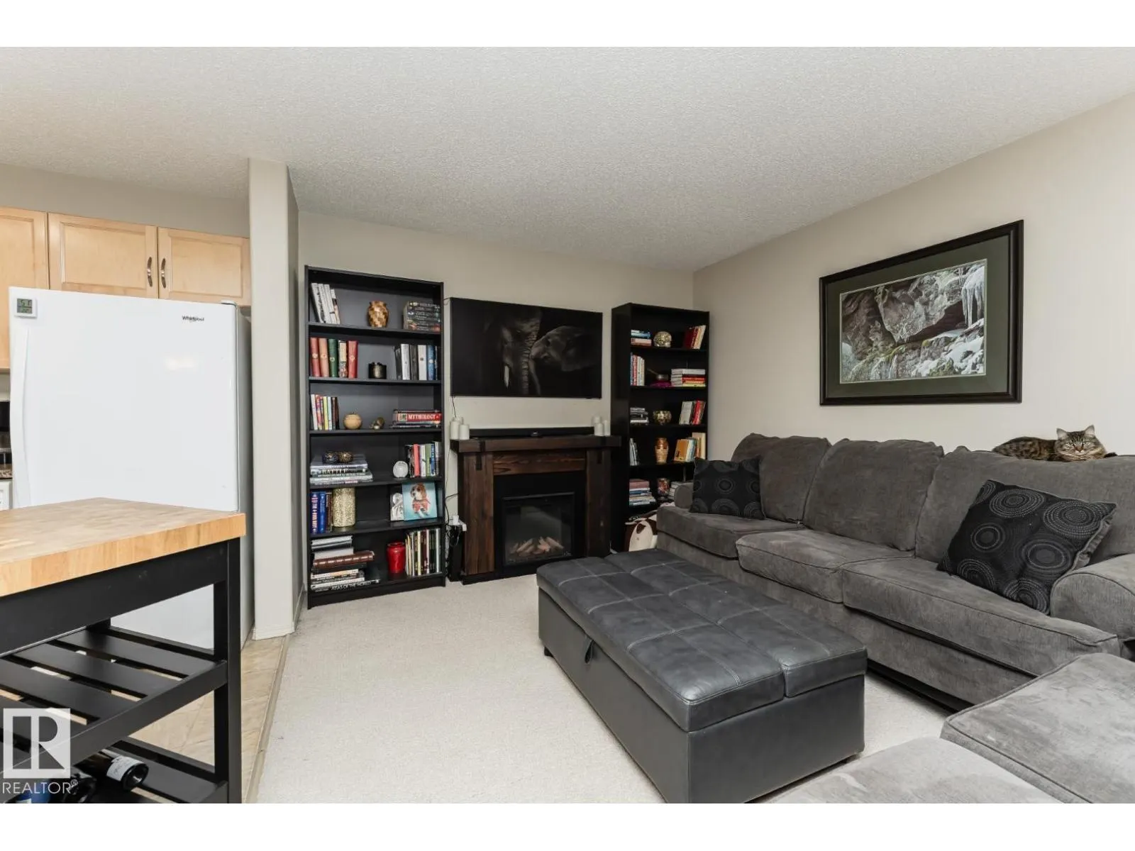 #113 16035 132 ST NW