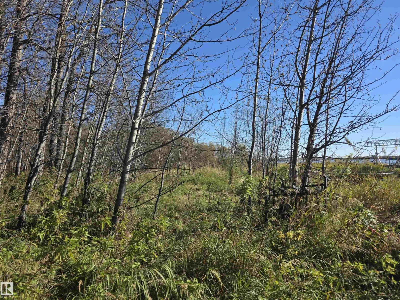 27 62045 Twp Rd 462