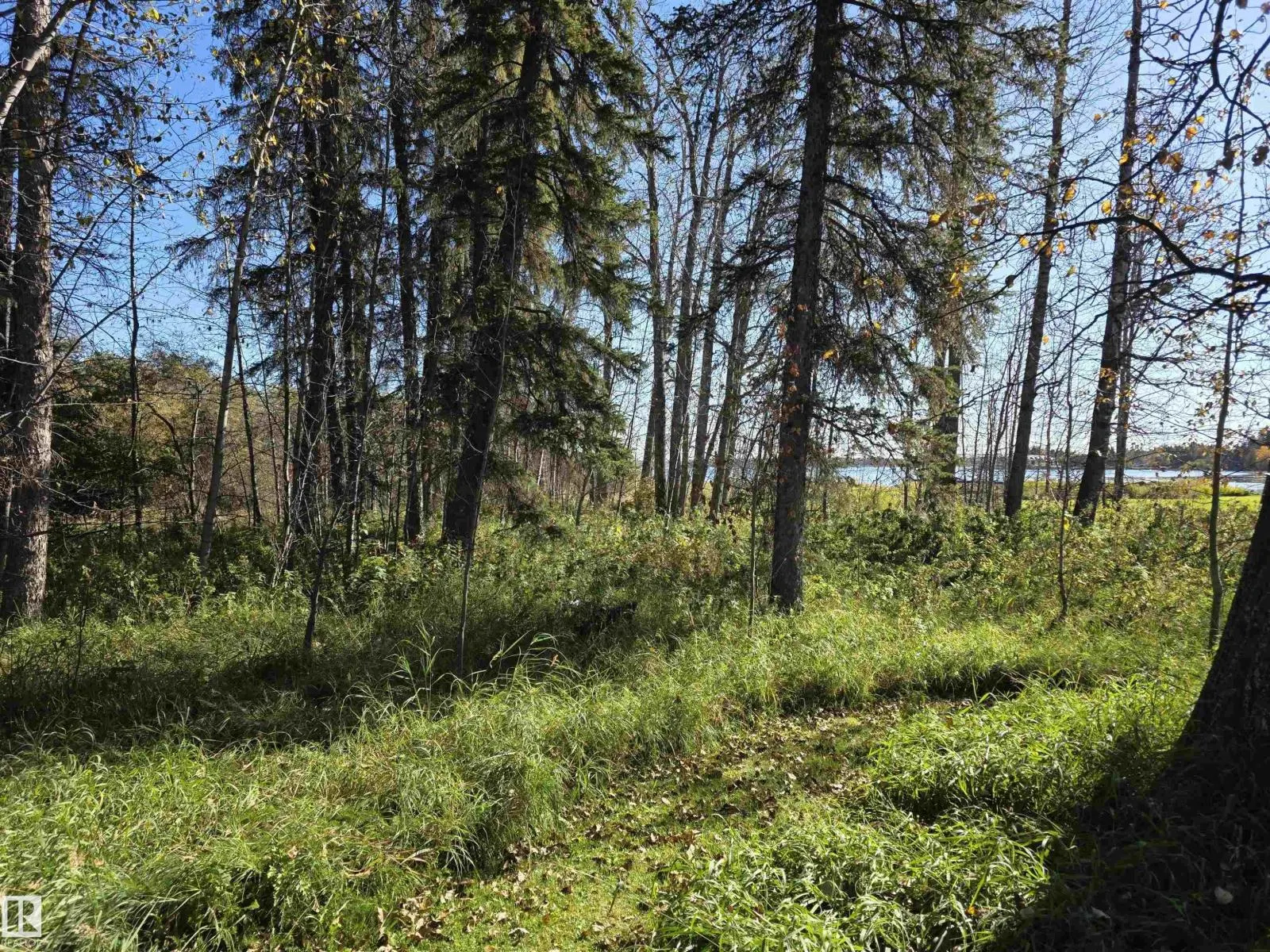 27 62045 Twp Rd 462