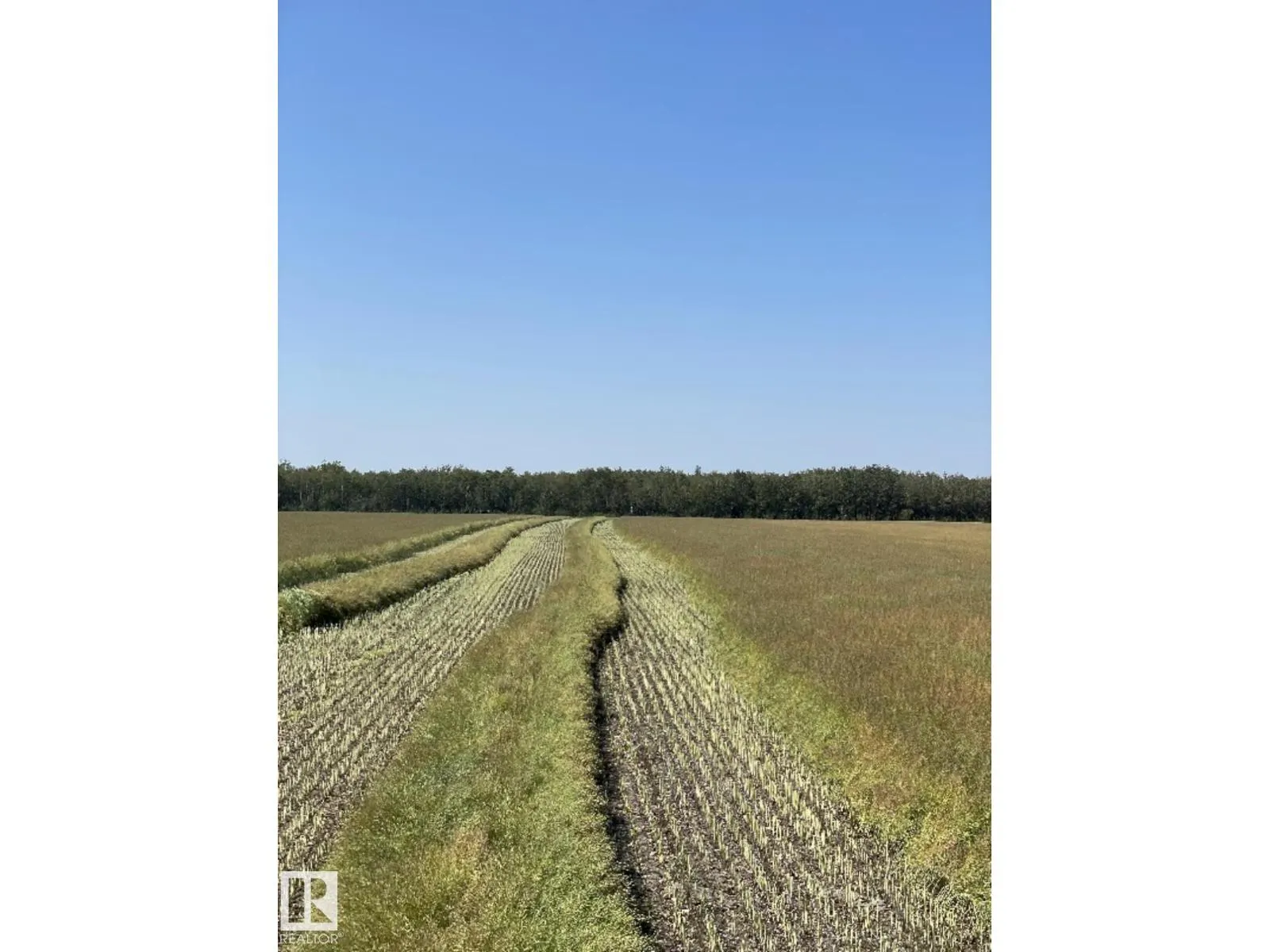 RR 173 & TWP RD 514