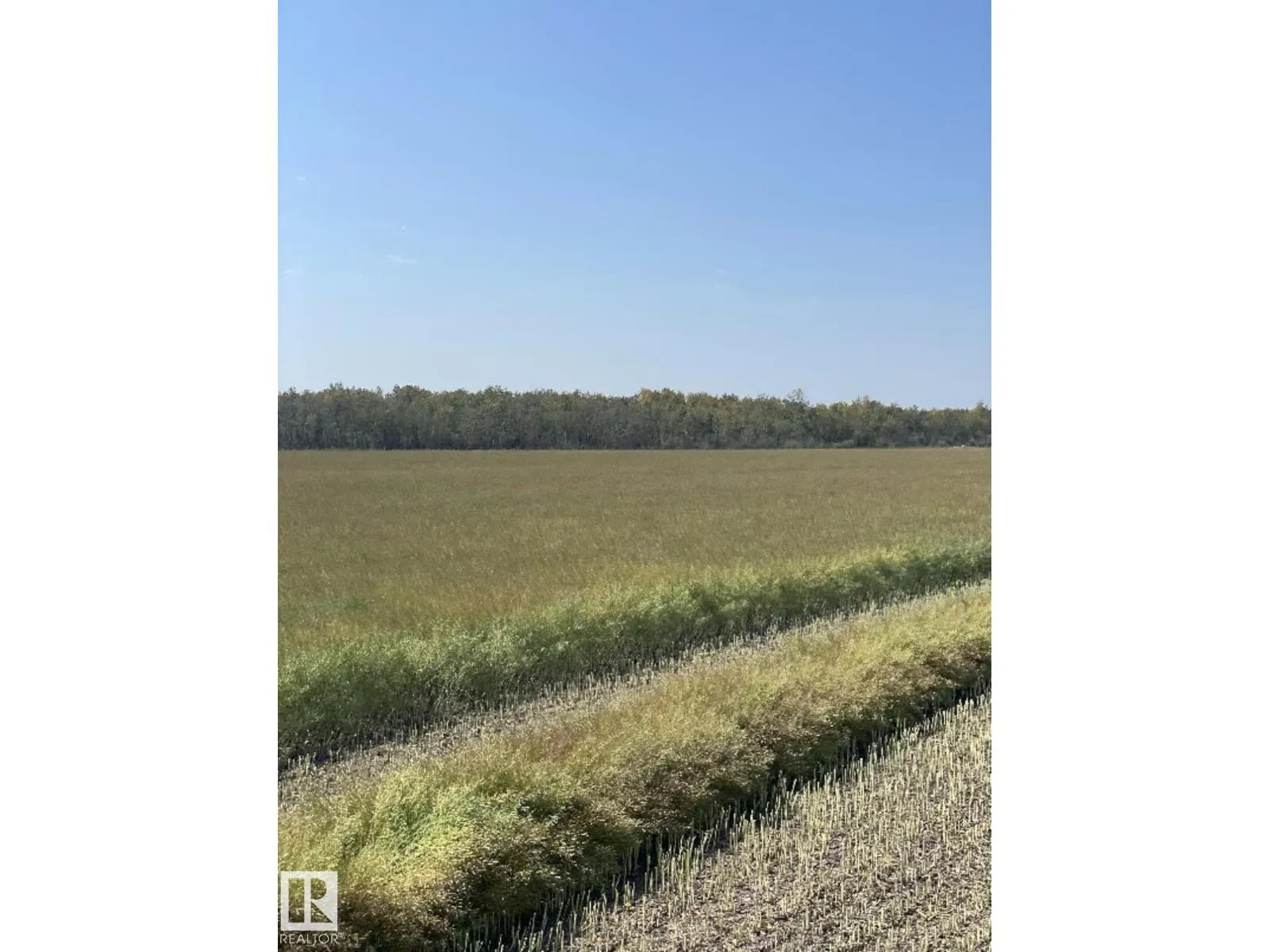 RR 173 & TWP RD 514