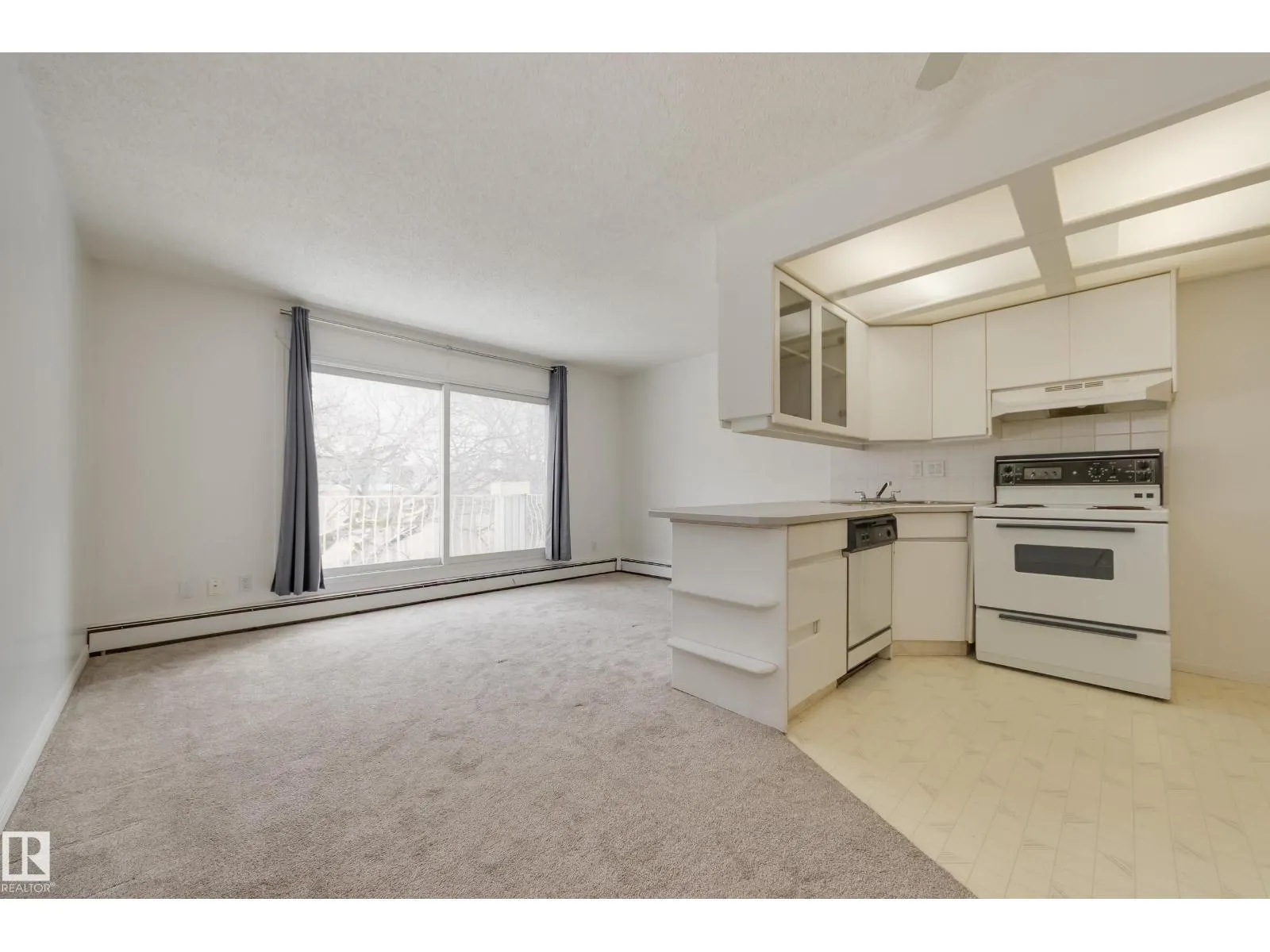 #11 10324 119 ST NW