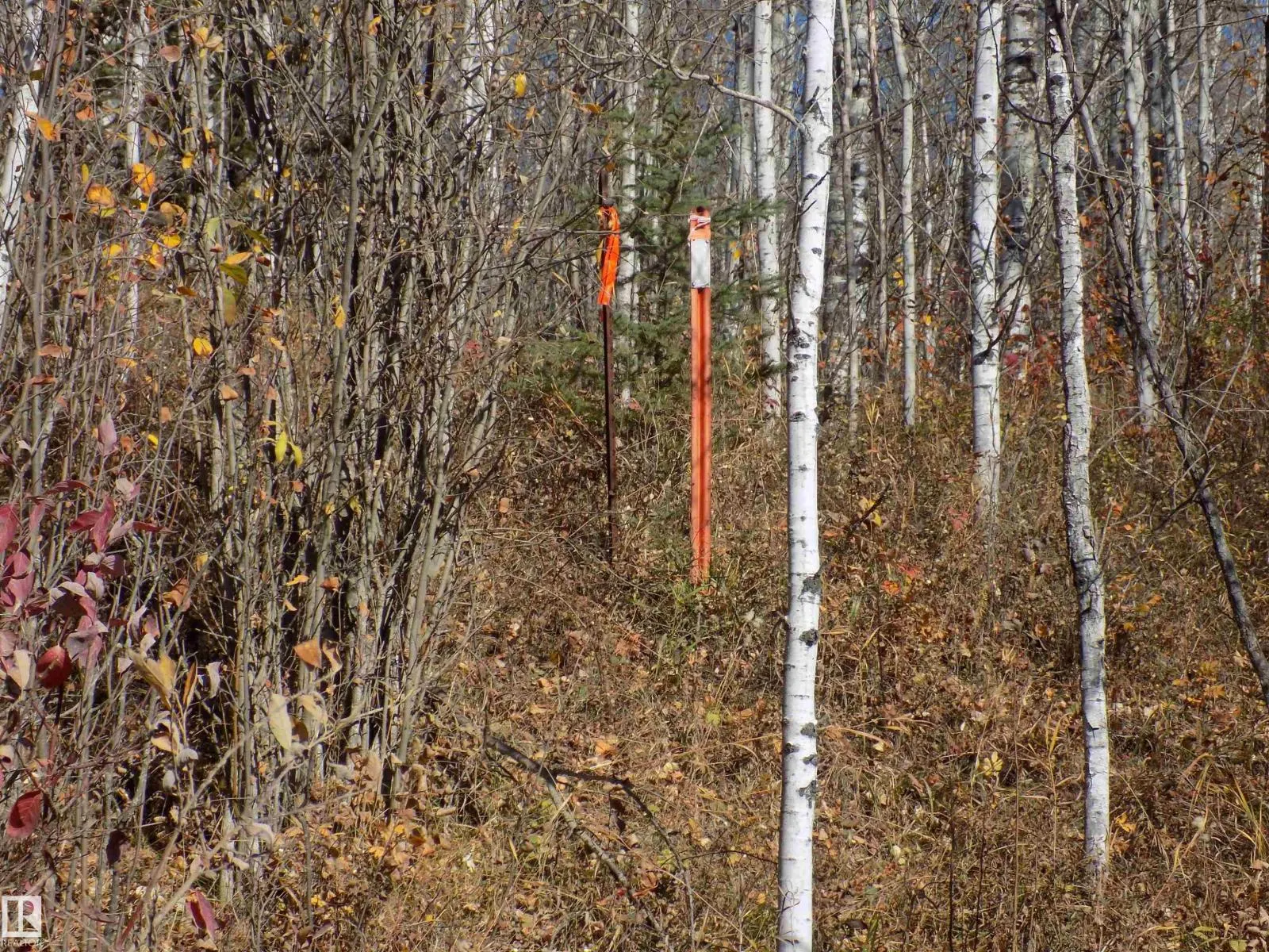 TWP 463A RD