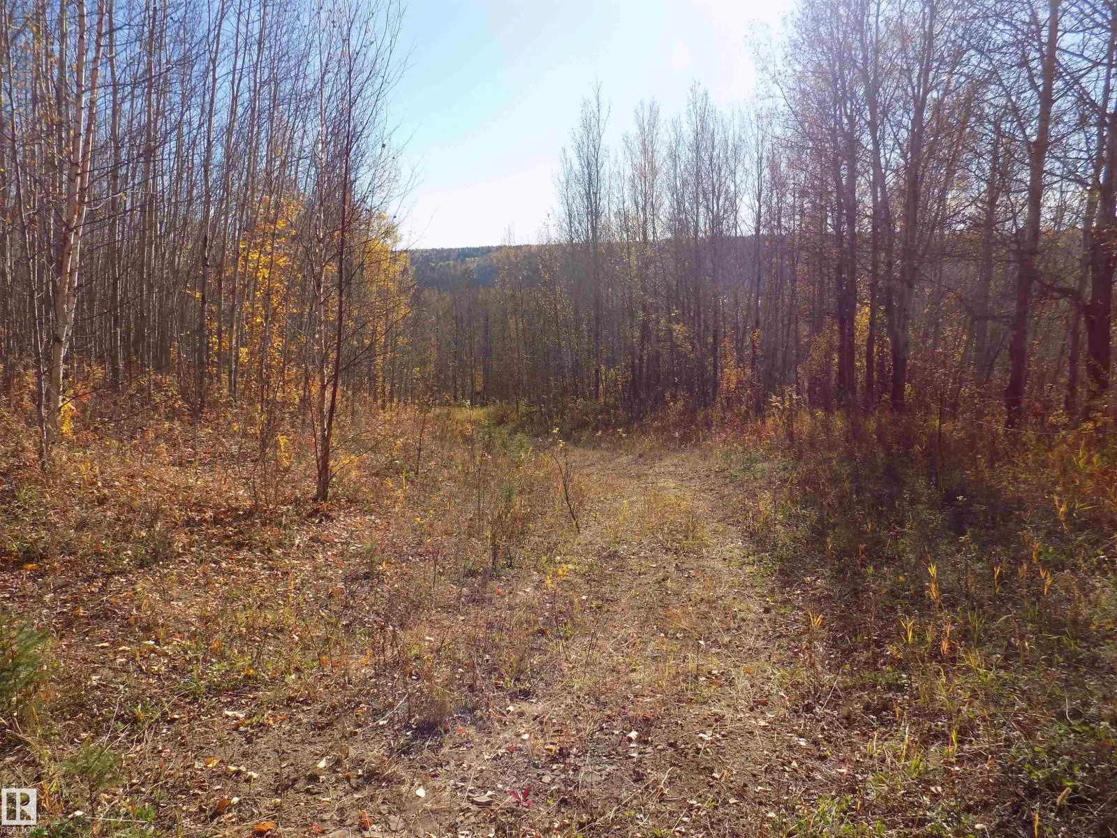 TWP 463A RD
