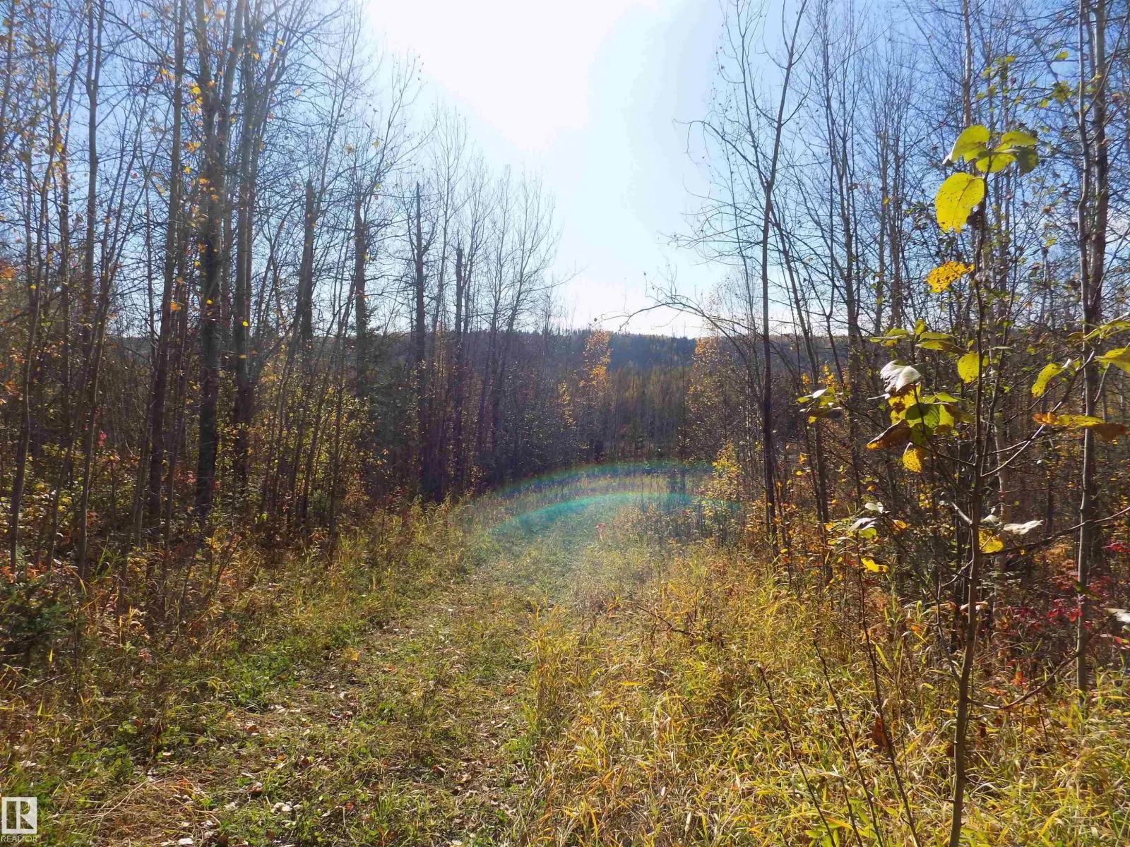 TWP 463A RD