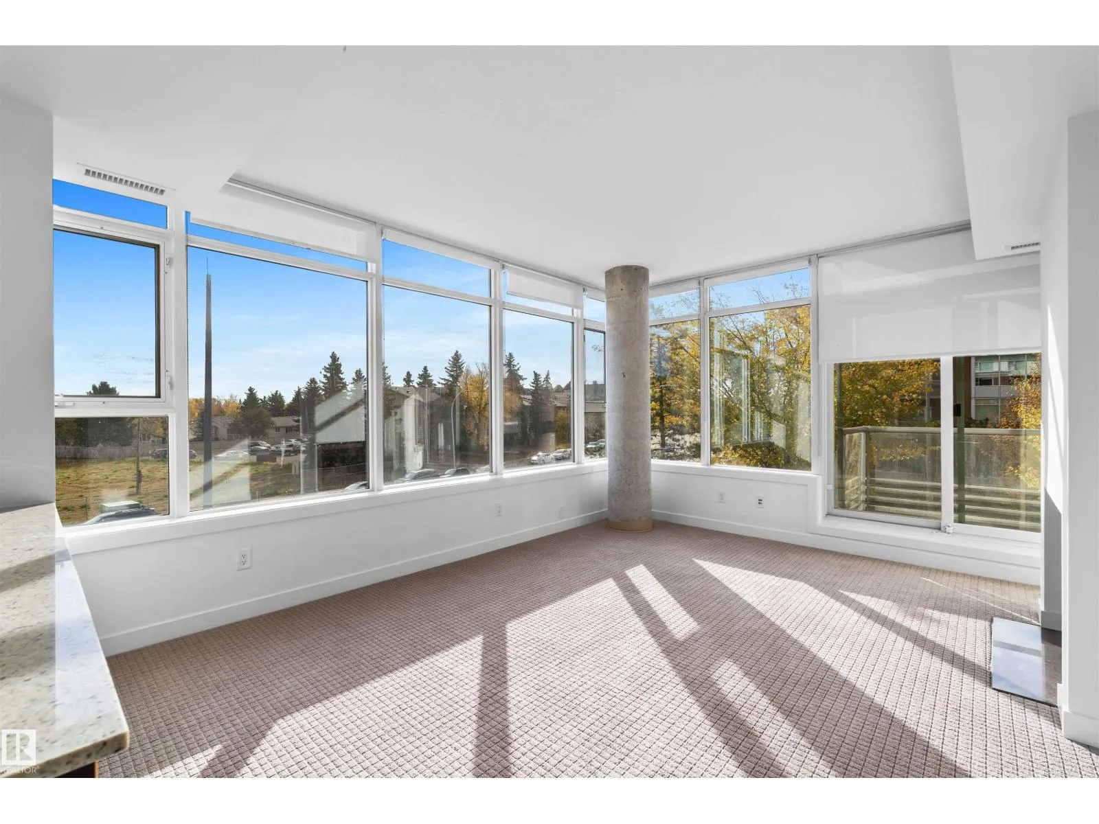 #209 2606 109 ST NW