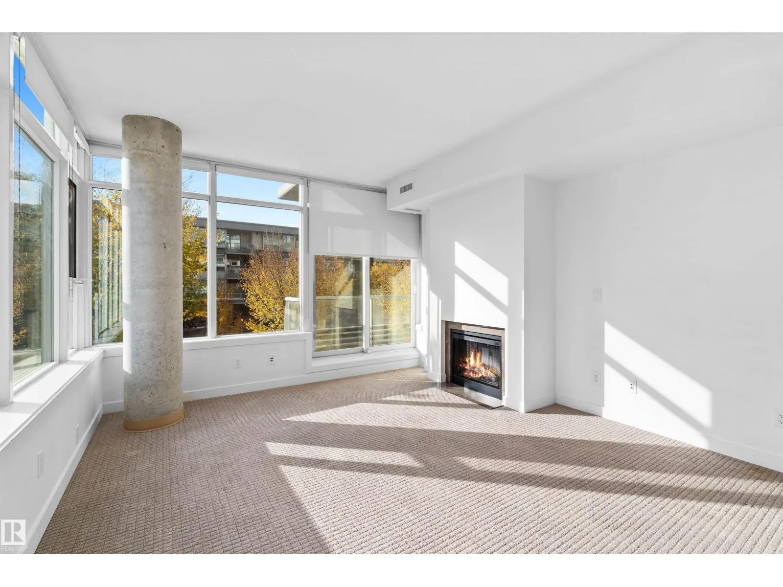#209 2606 109 ST NW