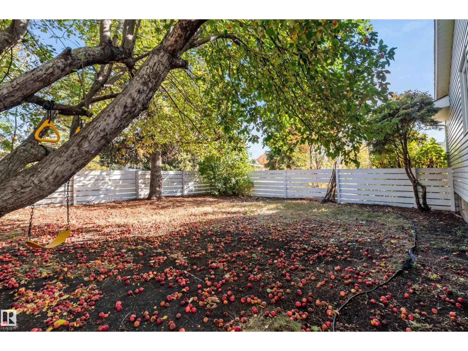 7104 95 AV NW