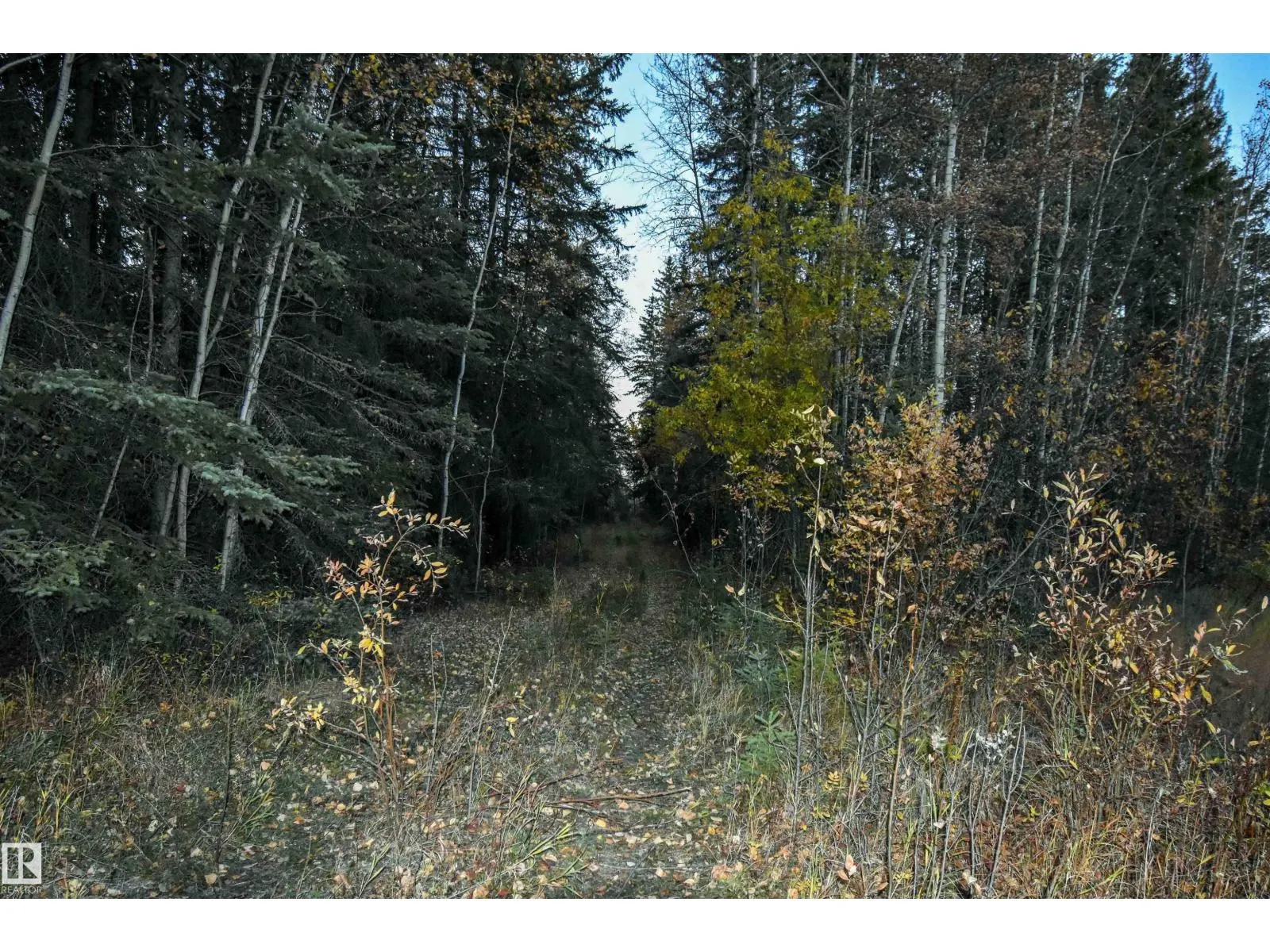 Twp Rd 625 and Hwy 63