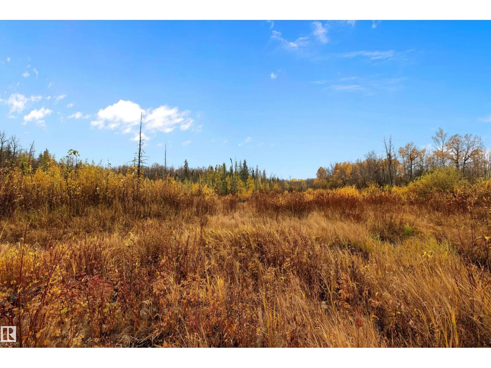 4129 TWP ROAD 540