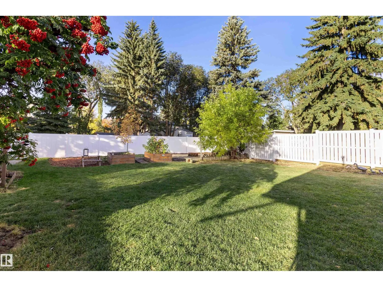 31 Curlew CR